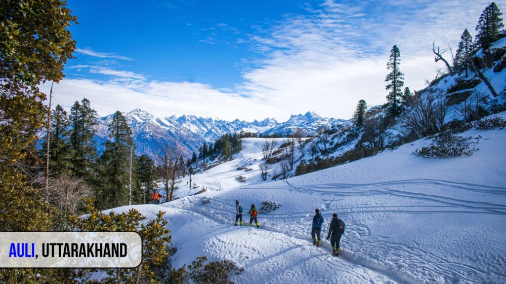 Snow-covered slopes and pine trees in Auli, Uttarakhand – one of the best places to visit in India during summer