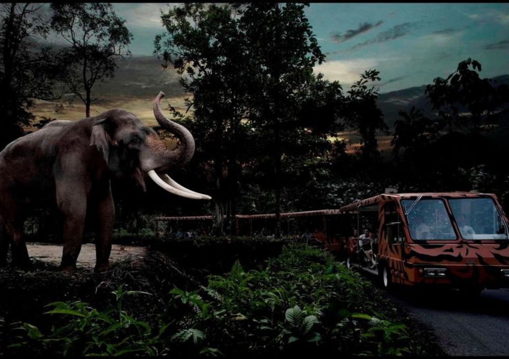 Night Safari, Singapore (3)