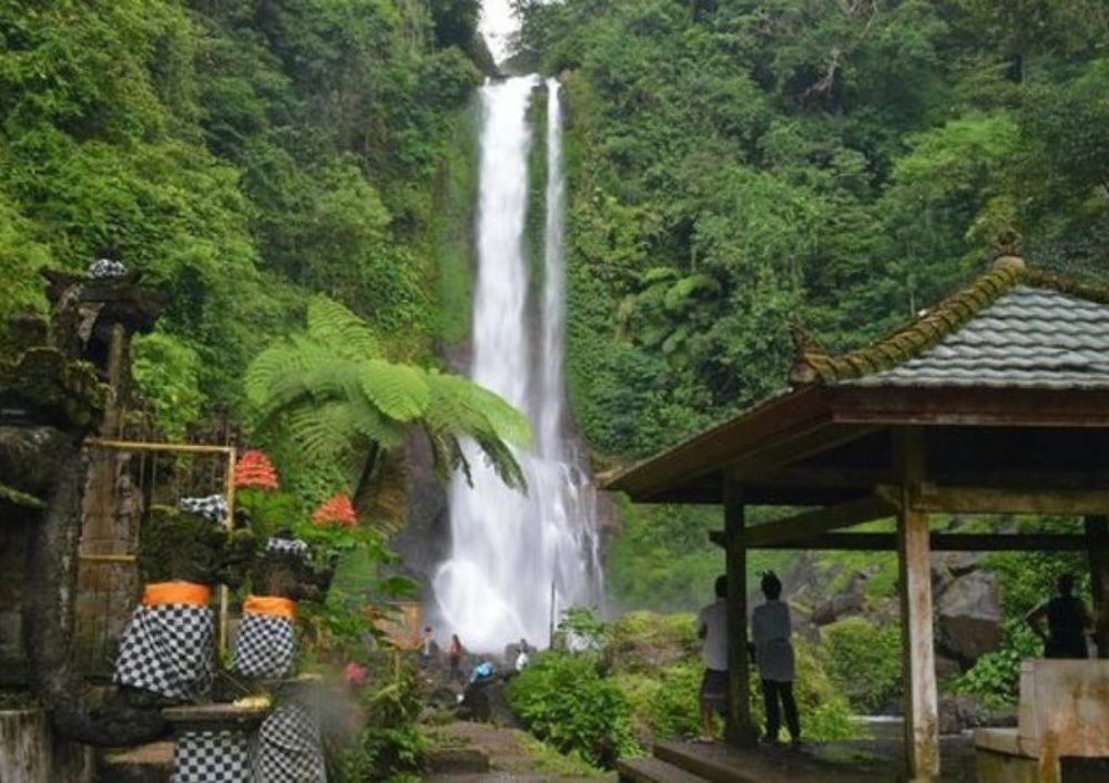 Ubud_ Bali Dolphin Tour and Gitgit Waterfall