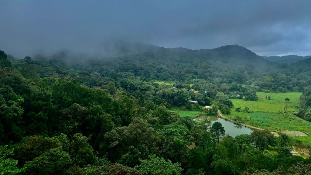 Lush green hills and misty landscapes of Coorg, Karnataka – Best Places to Visit in August in India