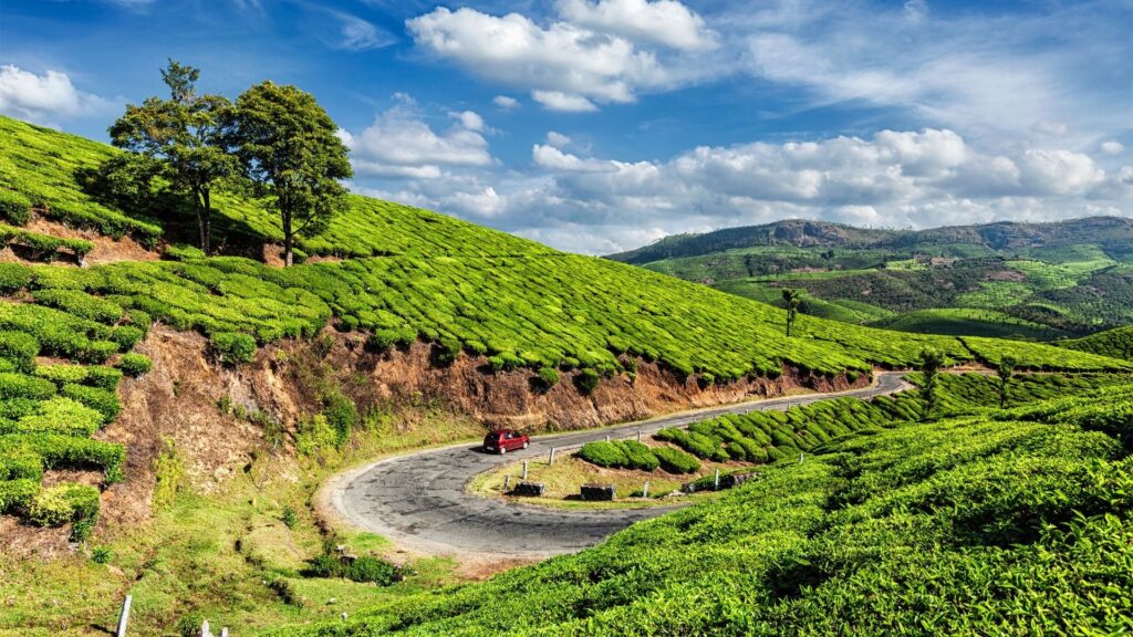 Munnar tea gardens with winding road during monsoon – Best Places to Visit in August in India