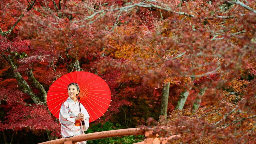 Woman in traditional kimono with a red umbrella amid dense autumn maples, capturing the culture of Japan autumn foliage 2026 — Fab Holidays, Best Travel Agency in Delhi